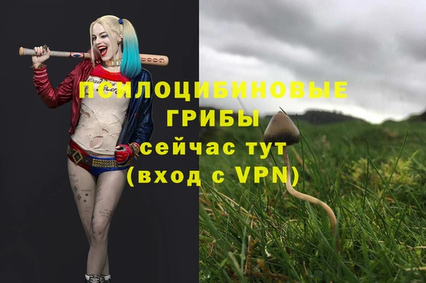 MDMA Premium VHQ Абаза