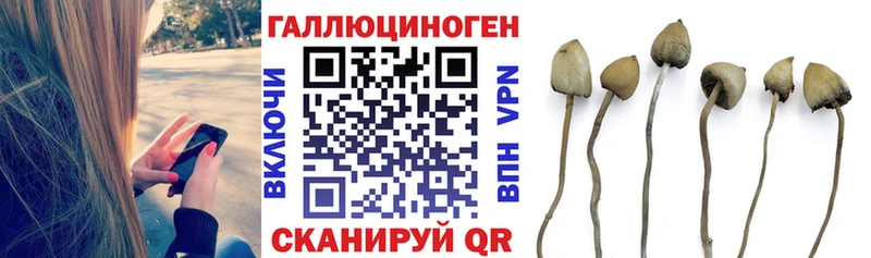 Псилоцибиновые грибы ЛСД  kraken ССЫЛКА  Гагарин 