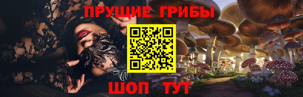 Галлюциногенные грибы MAGIC MUSHROOMS Гагарин